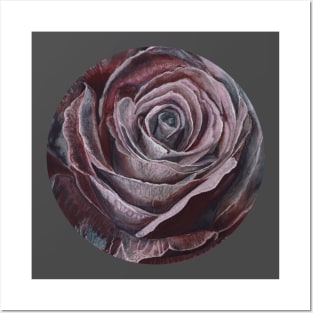 Ethereal Beauty Dark Rose Posters and Art